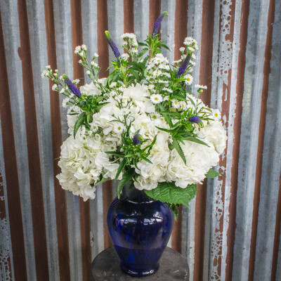 Beyond Blue from Marion Flower Shop in Marion, OH